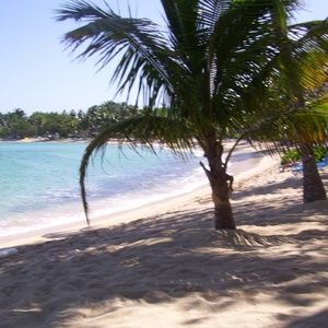 Meet your Posher, D.